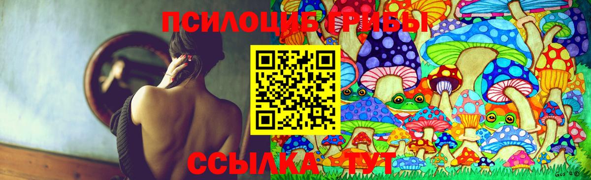 Галлюциногенные грибы Psilocybine cubensis Кисловодск