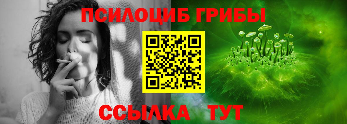 Галлюциногенные грибы GOLDEN TEACHER Кисловодск