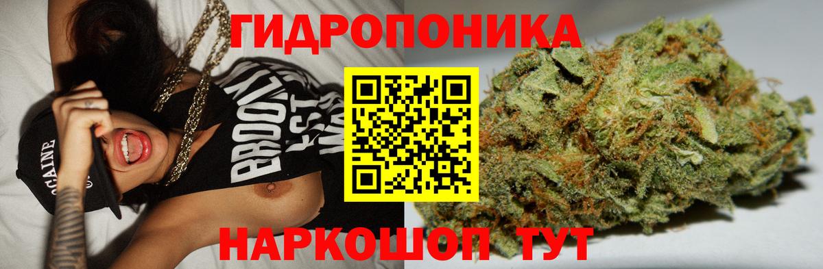 Канабис MAZAR  Кисловодск  Каннабис Ganja  Марихуана индика 